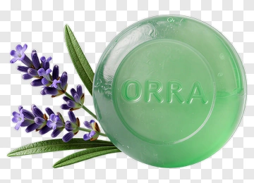 Green Soap With Lavender PNG