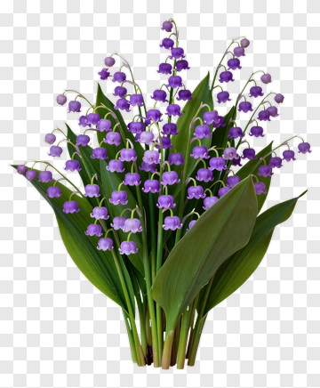 Bellflower Bouquet PNG