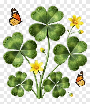 Four Leaf Clover With Butterflies And Flowers PNG