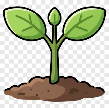 Young Plant Sprout Growing PNG