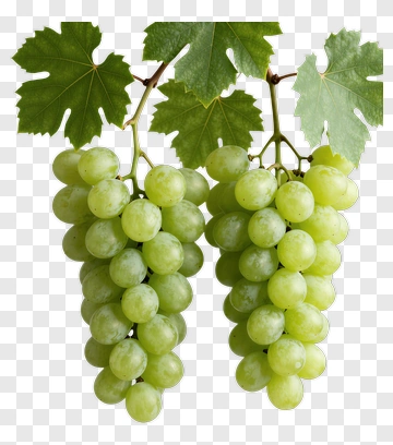 Green Grapes With Vine Leaves PNG