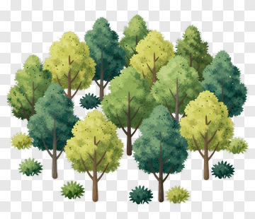 Forest Of Trees And Bushes PNG