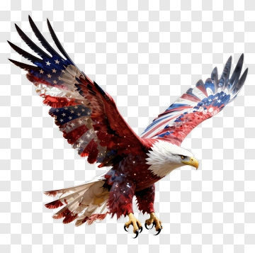 American Eagle In Flight PNG