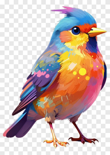 Colorful Bird Illustration PNG