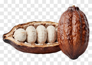 Open Cocoa Pod With Beans PNG