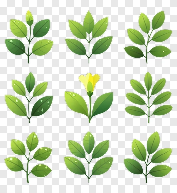 Leaf And Flower Icons Set PNG