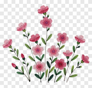Pink Blossom Plant PNG