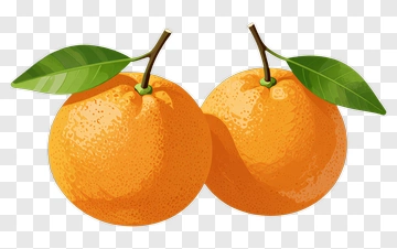 Two Oranges With Leaves PNG