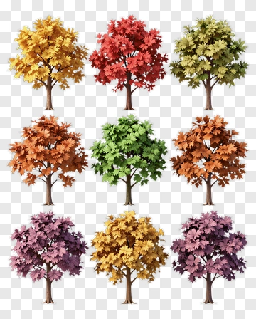 Colorful Trees In Autumn PNG
