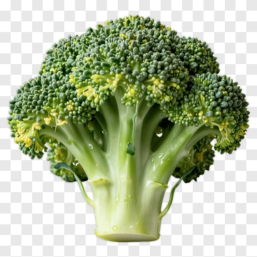 Fresh Broccoli PNG