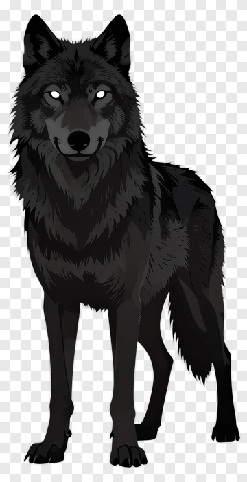 Black Wolf PNG