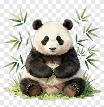 Cute Panda With Bamboo PNG