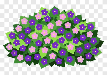 Flower Bush With Purple And Pink Blooms PNG