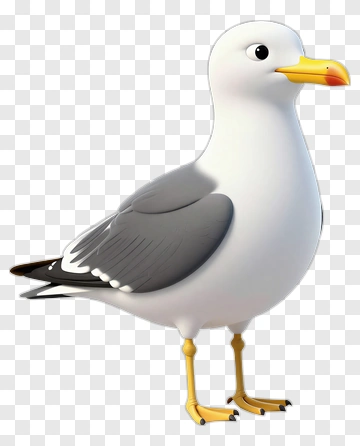 Seagull With Yellow Beak And Legs PNG