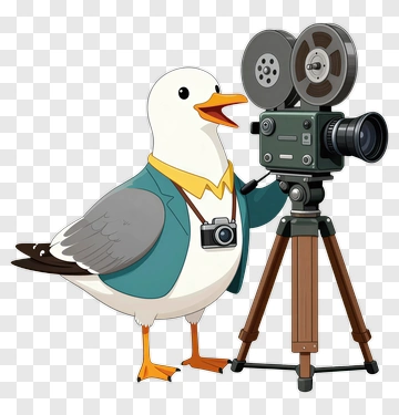 Seagull Filmmaker With Vintage Camera PNG