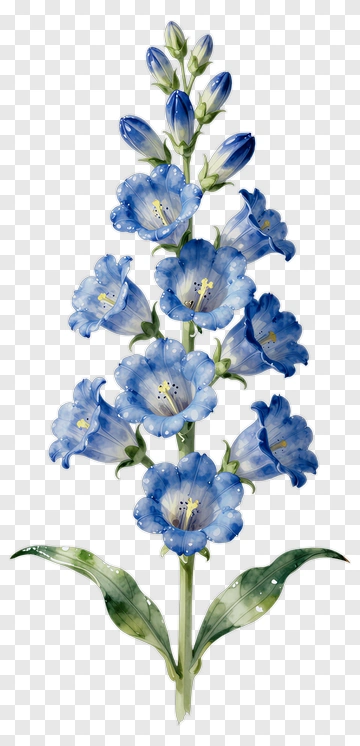 Blue Bellflower Plant PNG