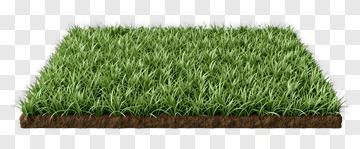 Green Grass With Soil Layer PNG