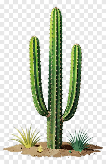 Green Cactus With Surrounding Succulents PNG