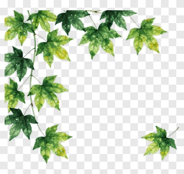 Maple Leaf Nature Design PNG