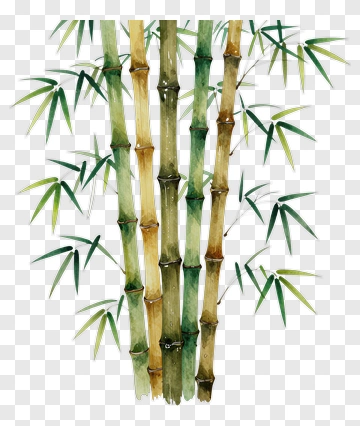 Bamboo Stalks With Green Leaves PNG