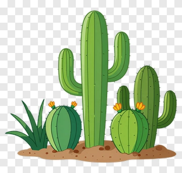 Cactus With Orange Blossoms PNG
