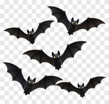 Five Cartoon Bats Flying PNG