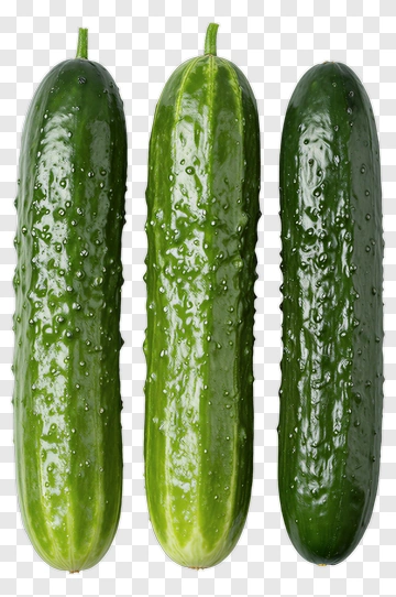 Three Fresh Cucumbers PNG