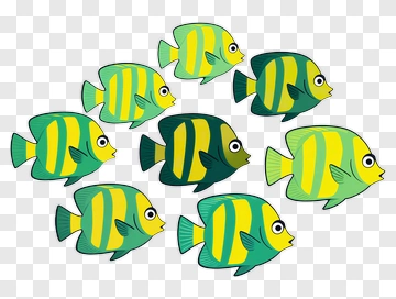 Group Of Cartoon Fish PNG