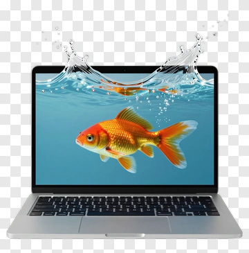 Goldfish Leaping From Laptop Screen PNG