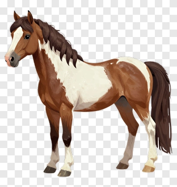 Cartoon Horse PNG