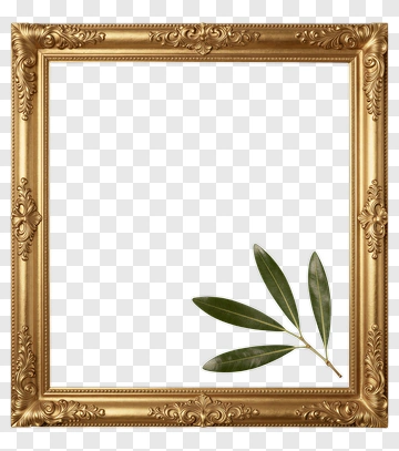 Gold Frame With Olive Branch PNG