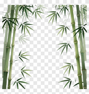 Bamboo Leaves And Stems PNG