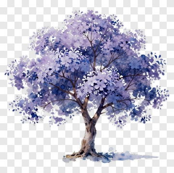 Watercolor Tree With Purple Blossoms PNG