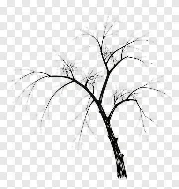 Black Tree Sketch PNG