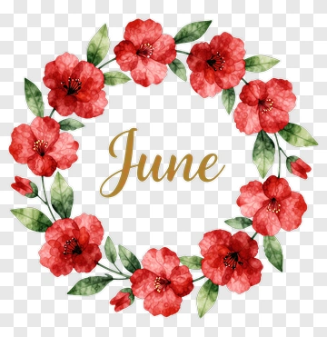 June Flower Wreath PNG