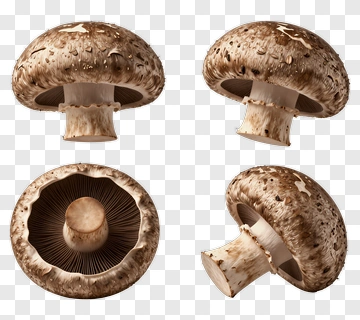 Brown Mushroom With Detailed Cap And Stem PNG