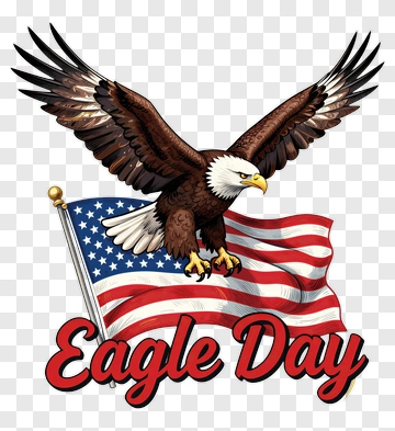 Bald Eagle With American Flag PNG