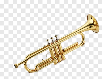 Golden Trumpet PNG