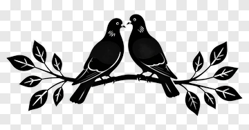 Two Pigeons On A Branch PNG