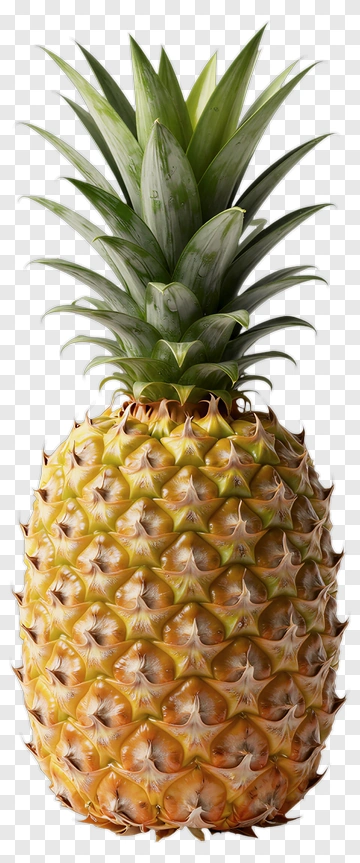 Pineapple PNG