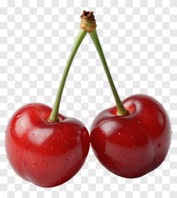 Two Red Cherries With Stems PNG