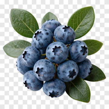 Fresh Blueberry Cluster With Leaves PNG