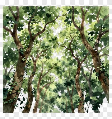 Watercolor Forest Scene PNG