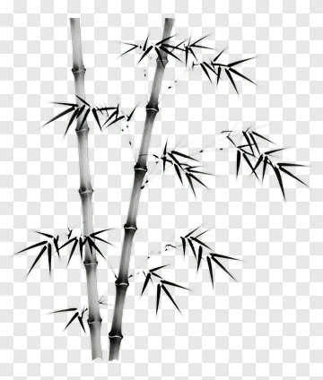 Bamboo PNG
