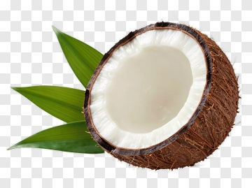 Coconut With Leaf PNG