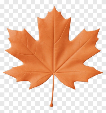 Orange Maple Leaf PNG