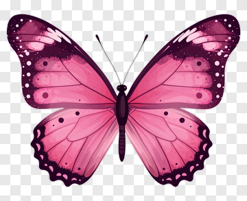 Pink Butterfly PNG
