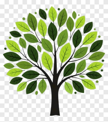 Green Tree Illustration PNG