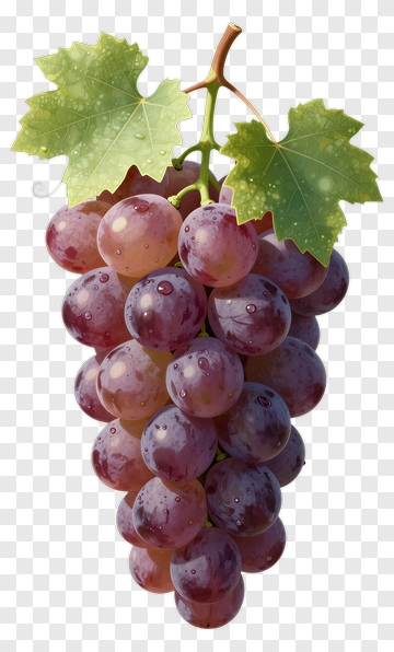 Cluster Of Purple Grapes With Leaves PNG