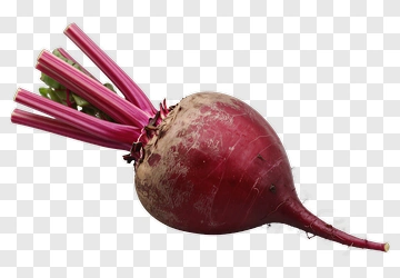 Fresh Beetroot With Stems And Leaves PNG